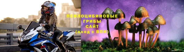 не бодяженный Алзамай