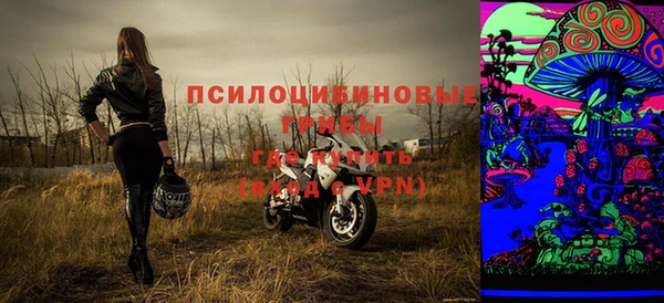 не бодяженный Алзамай