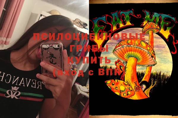 PSILOCYBIN Алексеевка