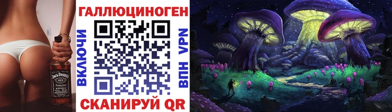 Галлюциногенные грибы Psilocybe Чехов